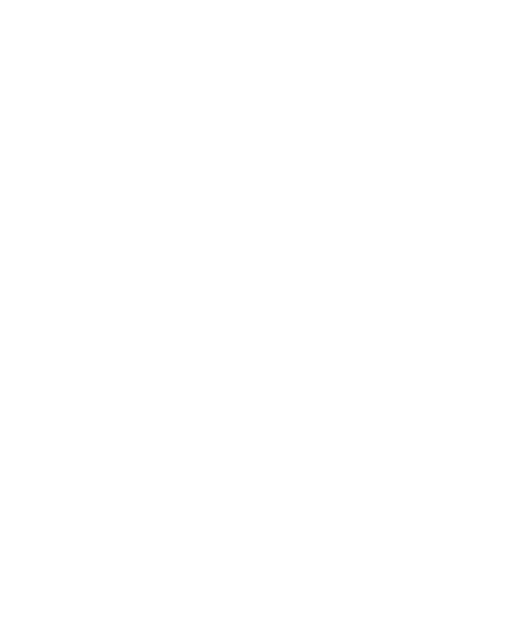 Friedmans logo